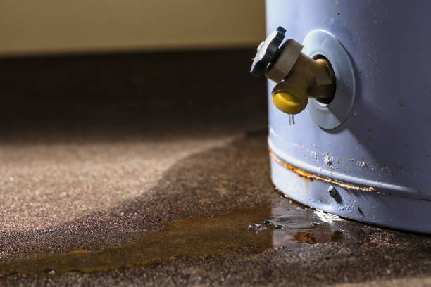 Best Water damage contractors near me  in Cameron, TX