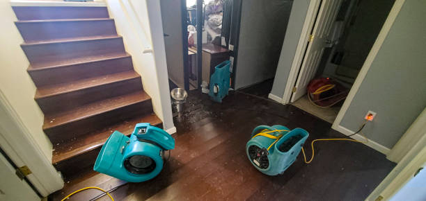 Best Carpet water damage restoration  in Cameron, TX