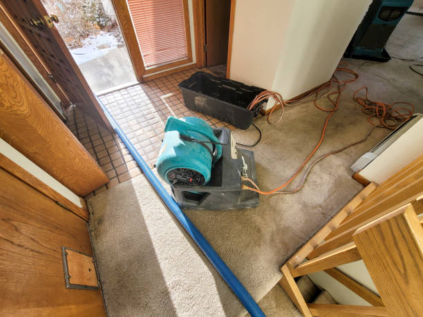 Best 24-hour water damage restoration  in Cameron, TX