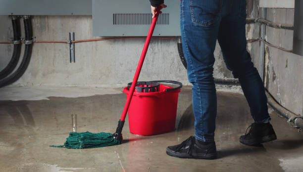 Best Water damage restoration insurance claims  in Cameron, TX