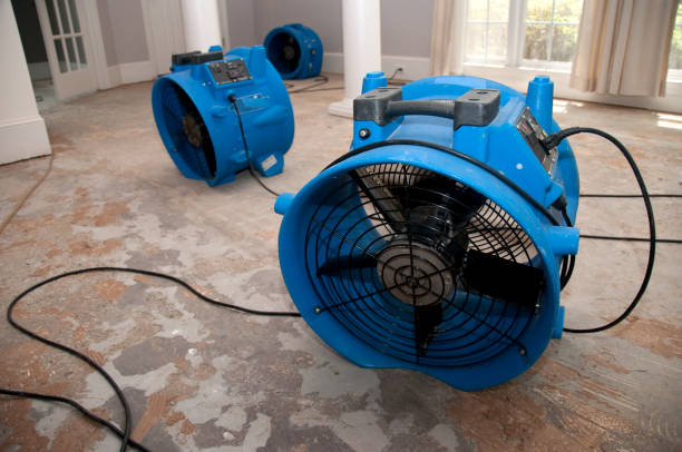 Water damage restoration process in Cameron, TX