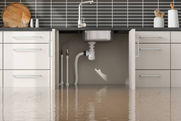 Water damage restoration insurance claims in Cameron, TX