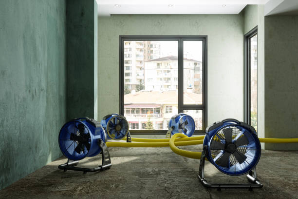 Best Flood restoration services  in Cameron, TX